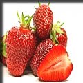 Лучшая клубника - правильно выбранные и хранимые ягоды